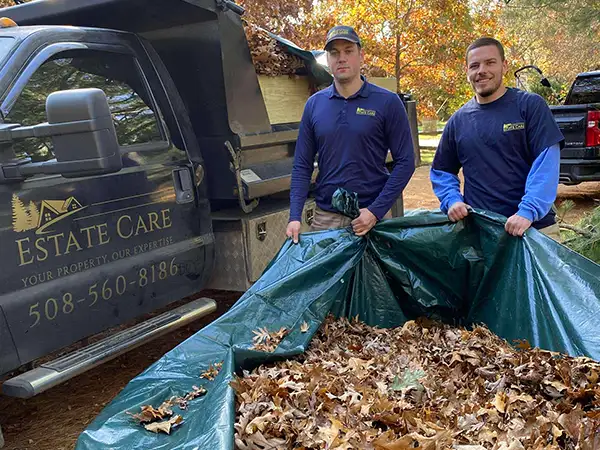 Seasonal Cleanups Martha's Vineyard