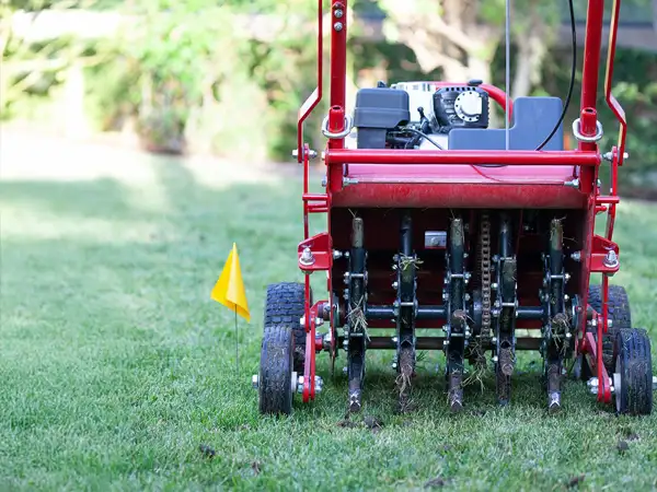 Core aeration and overseeding Martha's Vineyard