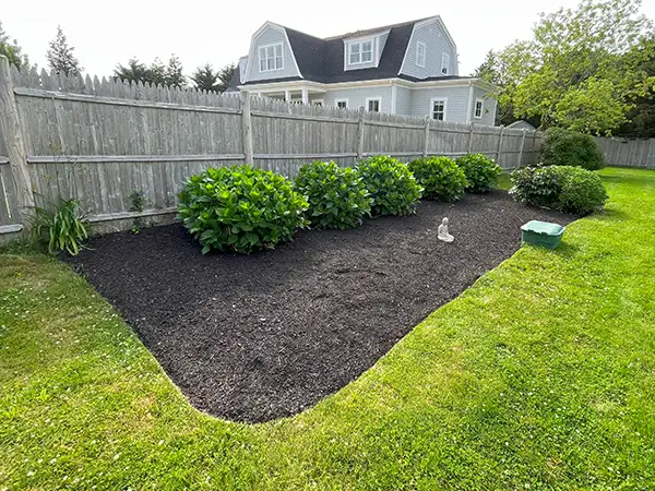 Gardening and planting Martha's Vineyard