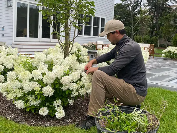 Garden maintenance Martha's Vineyard