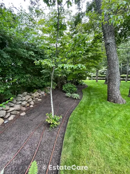 Garden detail Martha's Vineyard