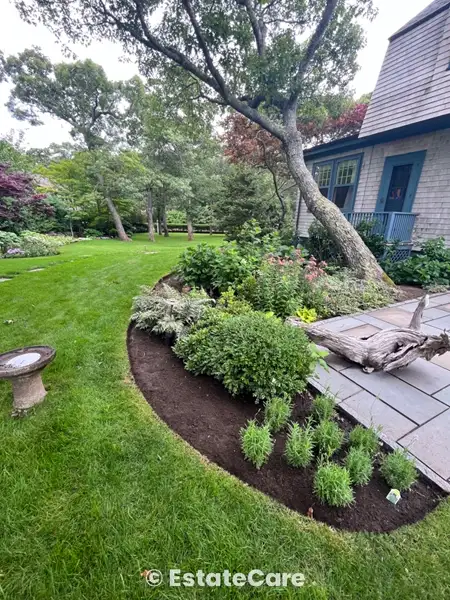 Gardening and planting Martha's Vineyard