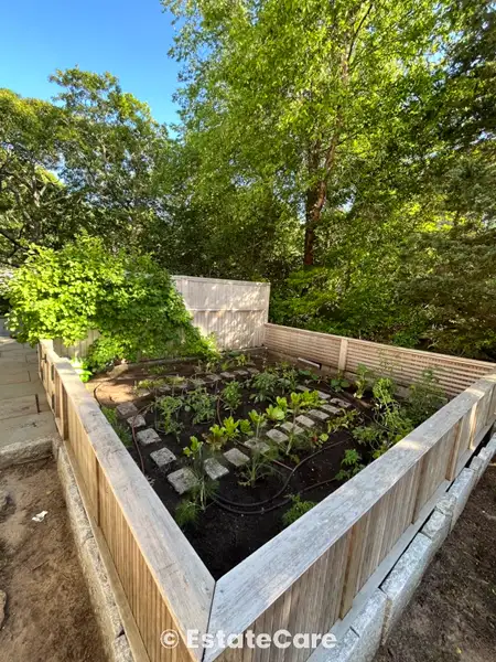Gardening and planting Martha's Vineyard