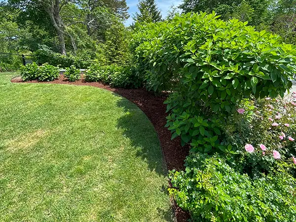 Gardening and planting Martha's Vineyard