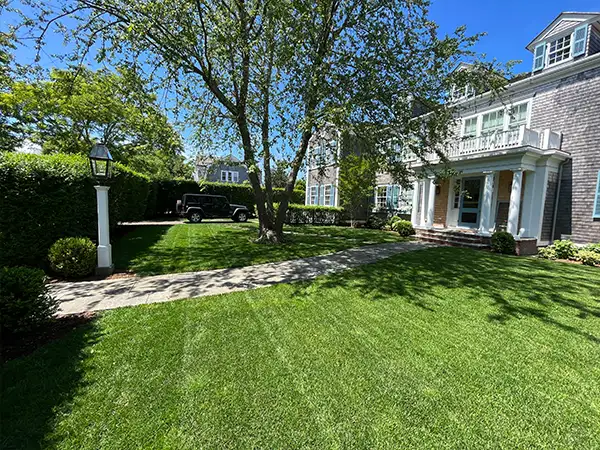 Landscaping Martha's Vineyard