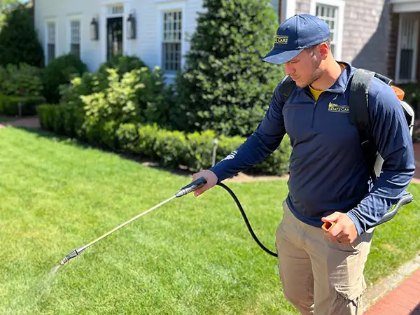 Organic lawn fertilization Martha's Vineyard