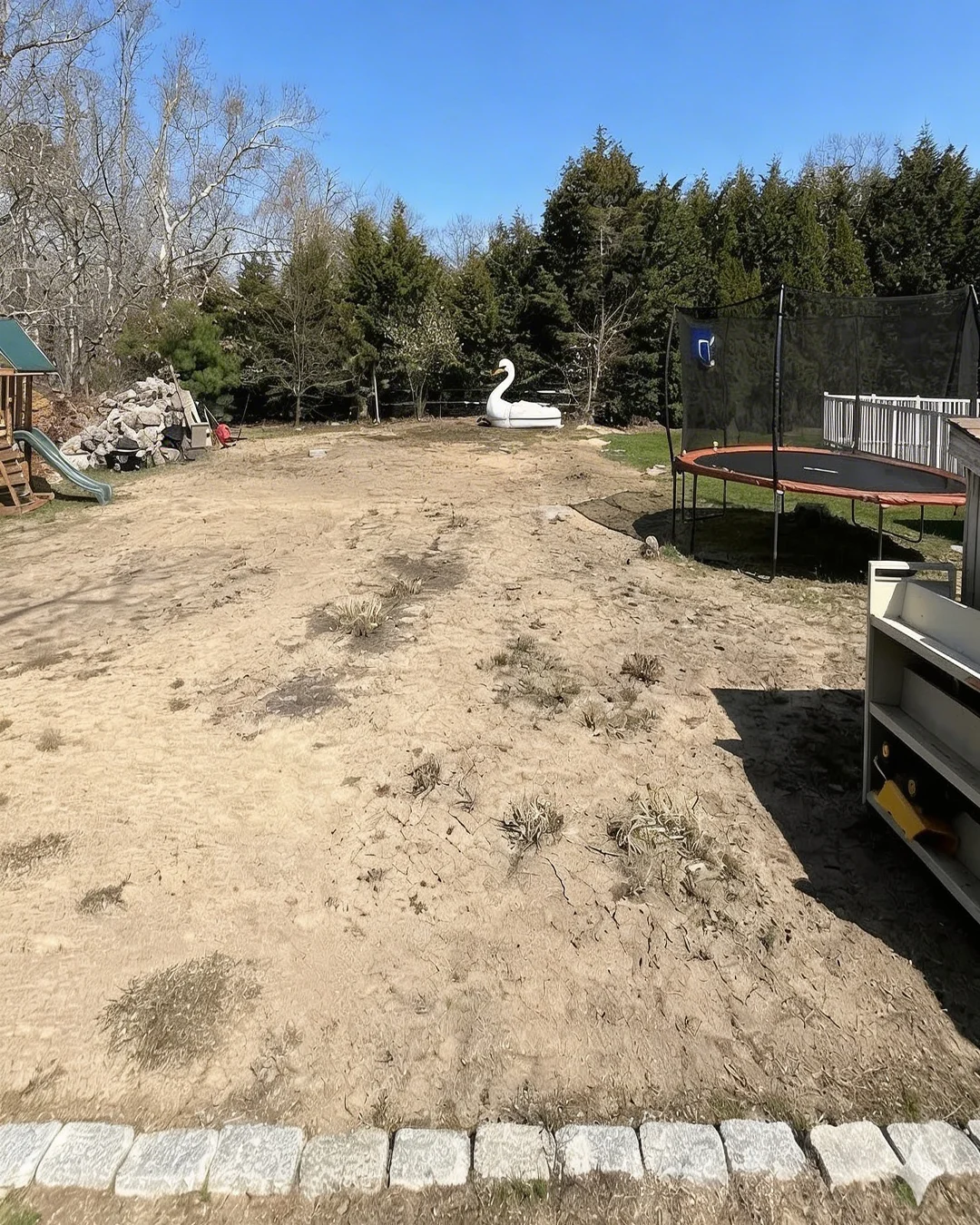 Before: Patchy neglected lawn