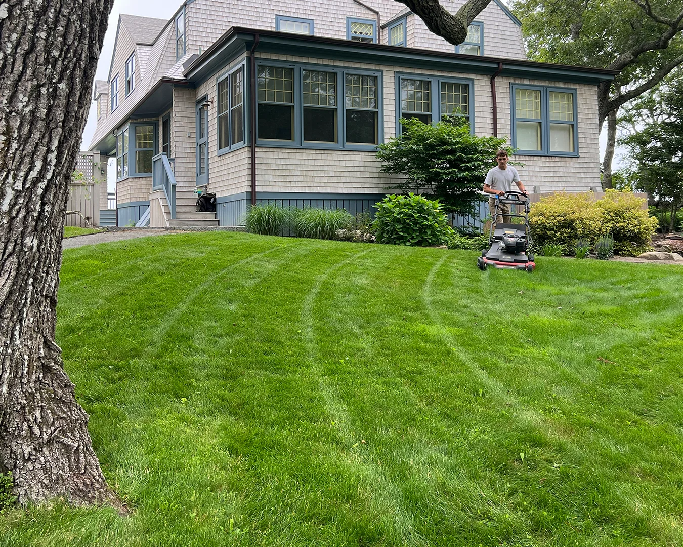 Professional lawn mowing service Martha's Vineyard