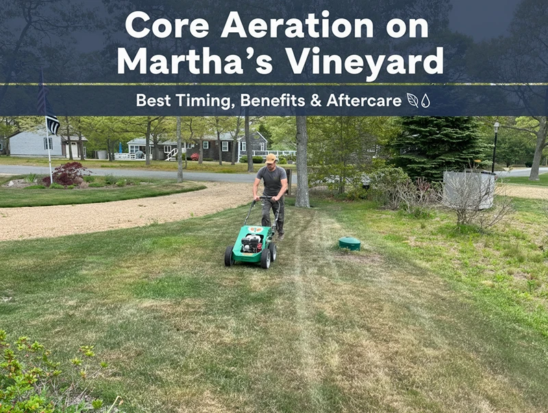 Core aeration on Martha’s Vineyard—Estate Care technician using a walk-behind aerator to relieve soil compaction and improve a residential lawn.