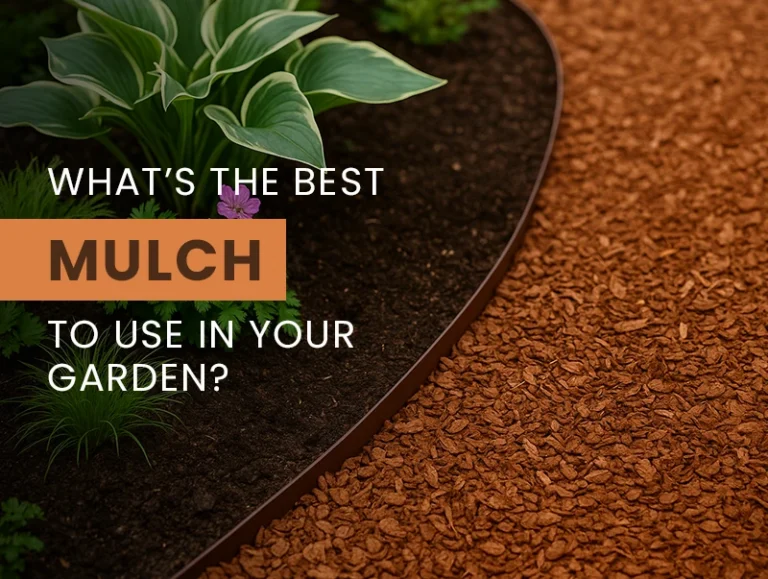 What’s the Best Mulch to Use in Your Garden? Pros, Cons, and Top Picks