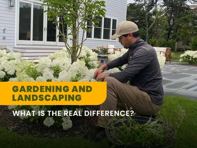 Gardening and Landscaping – What is the real difference?