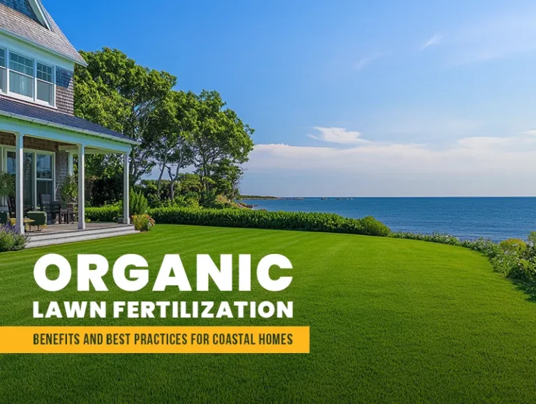 Organic Lawn Fertilization – Benefits and Best Practices for Coastal Homes