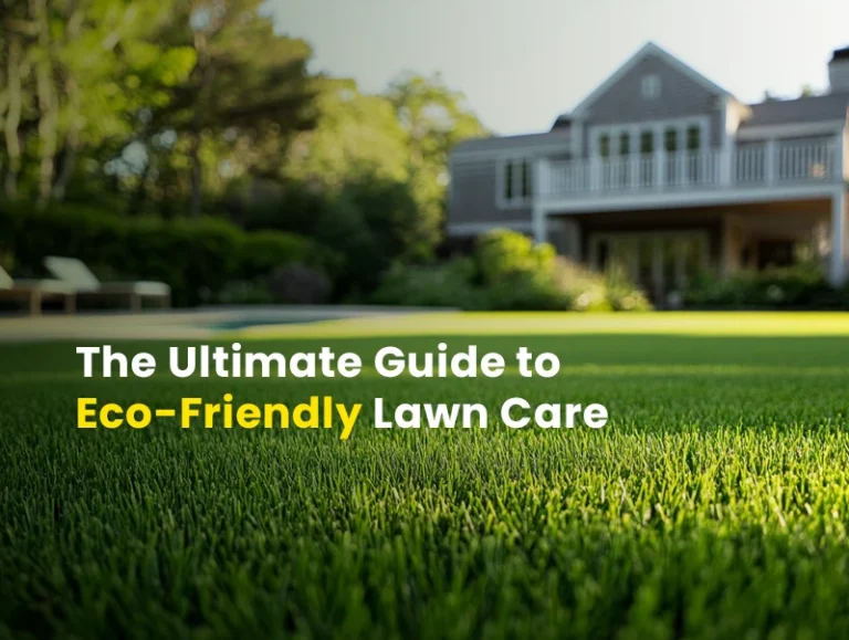 The Ultimate Guide to Eco-Friendly Lawn Care on Martha’s Vineyard