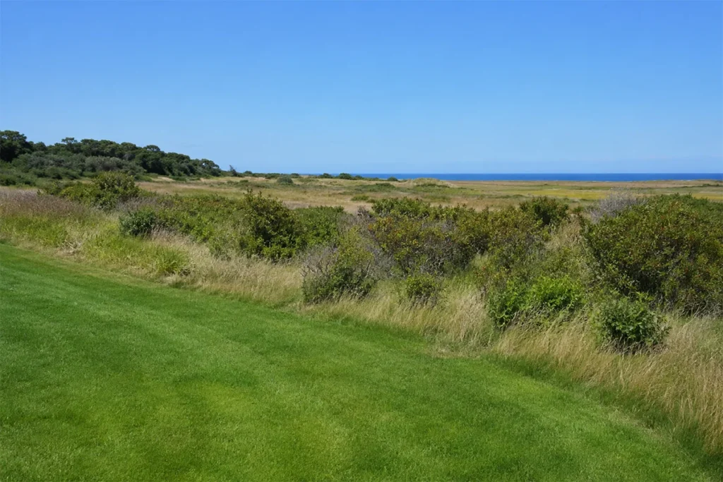 lawn to native heathland transition zone Aquinnah Martha's Vineyard estate property